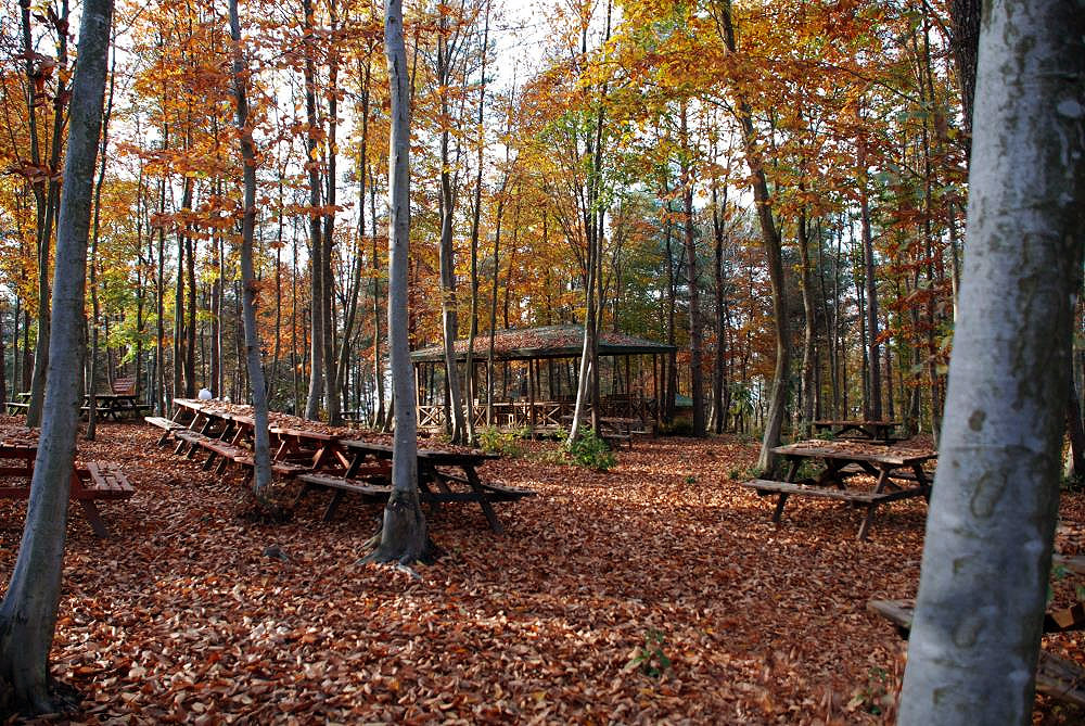 Asarkaya Kent Ormanı