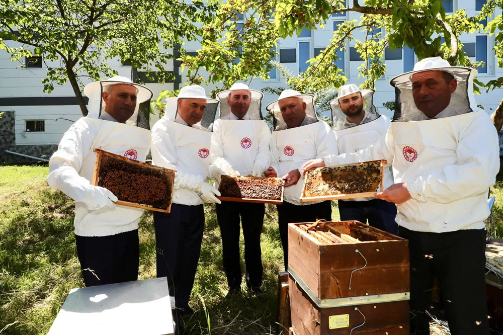 Ordu’dan İngiltere’ye Bal İhracatı Yapıldı