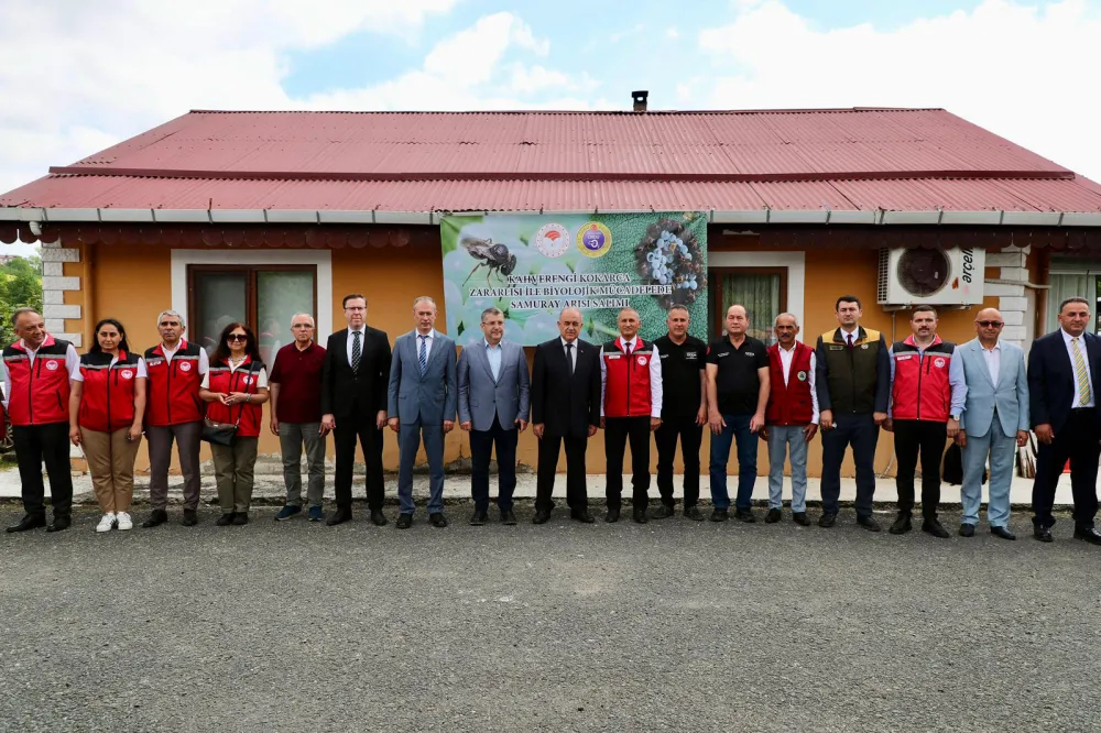 Kahverengi Kokarca İle Mücadele Kapsamında 300 Bin Samuray Arısı Doğaya Salındı